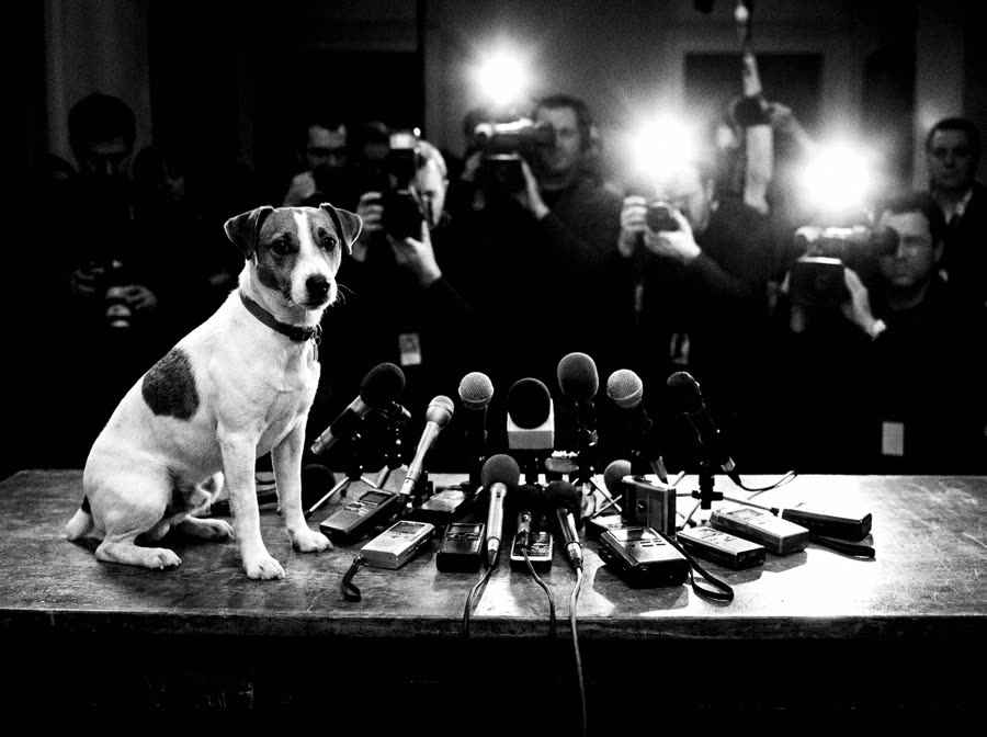 A terrier at a press conference, awards season 2011